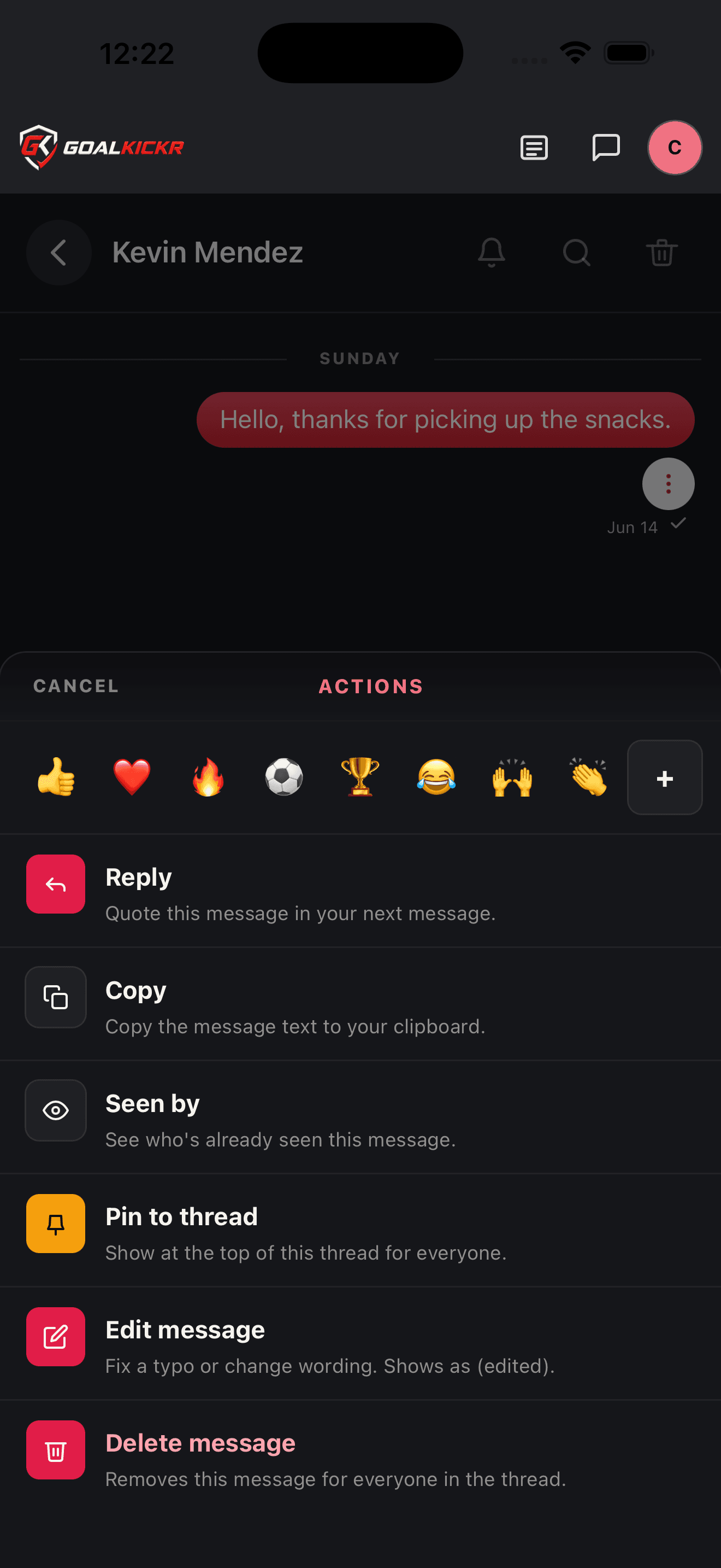 Chat message actions sheet with reactions and reply/copy/seen-by/pin